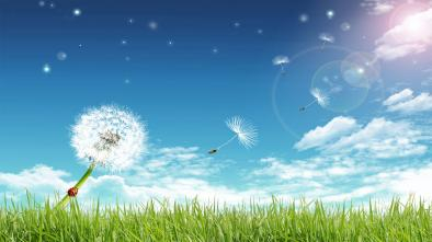 Image for use in the Verdant Poetry Contest.