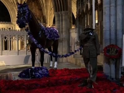 A Display of Remembrance Poppies in Plymouth Cathedral.