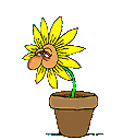 Animated Flower Sneeze