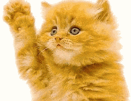 a waving cat