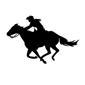 Silhouette of a cowboy on a galloping horse.