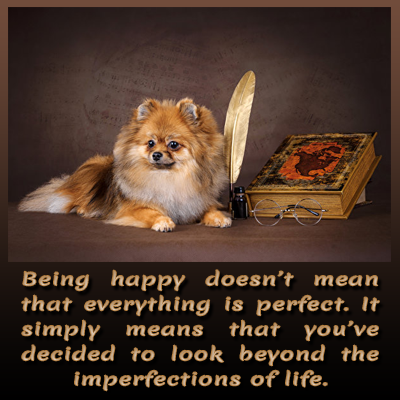 Dogie Cheer Up Message 