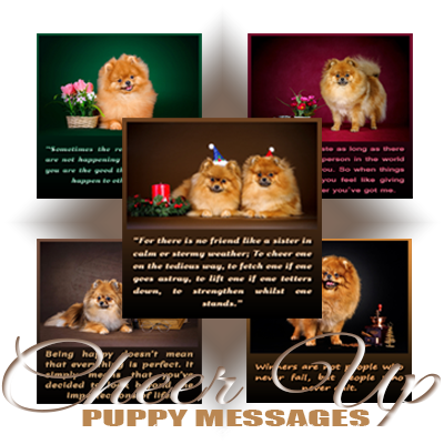 Cheer Up Puppy Banner