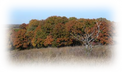 Cross Timbers in Oklahoma