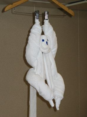 Andre's Towel Monkey