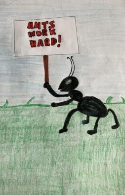 The story of how ants can teach us life lessons taught by the character Mr. Ant. (Part 1)