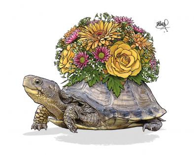 tortoise with bouquet on its back