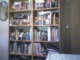 A picture of my bookshelves