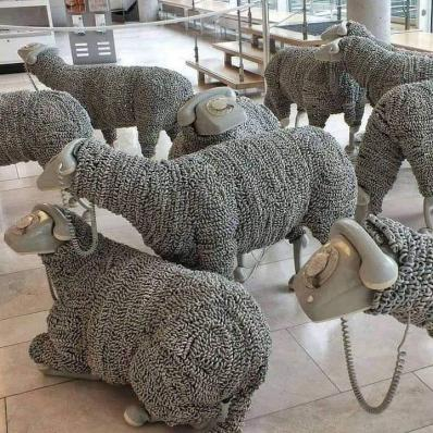 Sheep of the future