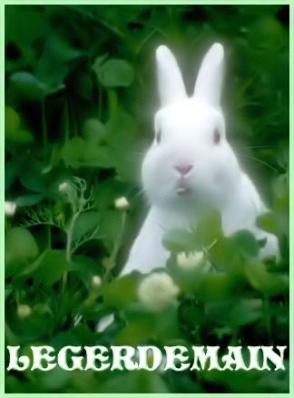 Bunny in clover