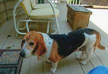 Our Boo on HER Deck