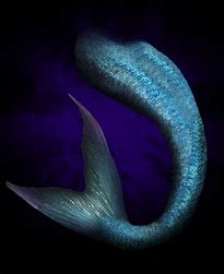 Mermaid Tail