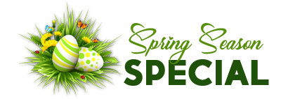 Spring Season Special Banner