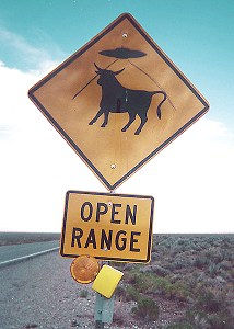 open range cow - Area 51