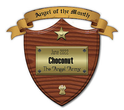 My plaque for Angel of the Month from the Angel Army.
