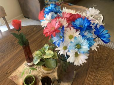 My flowers for the 4th of July 2022