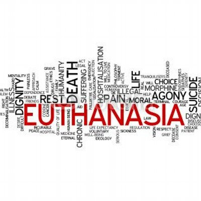 euthanasia argumentative essay