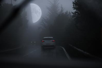 Two cars face each other in a forest.