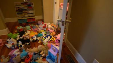 Picture of a toy hoard