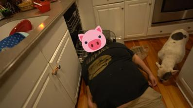 This Little Piggy slipped and fell into a dishwasher!
