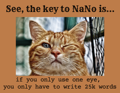Humorous meme for friends and fans working on NaNoWriMo.