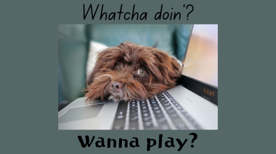 A cute dog image perfect to invite someone to play a game.