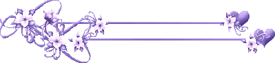 purple divider