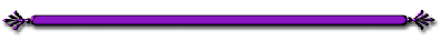 Purple Divider