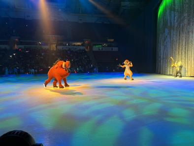 Picture taken from the "Disney on Ice" show.