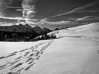 Snowshoe tracks in the mountains/hills.