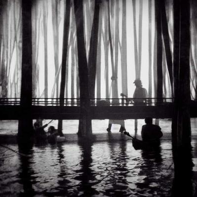 Dark shapes of trees and canoists on water.