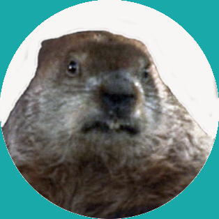 The Groundhog