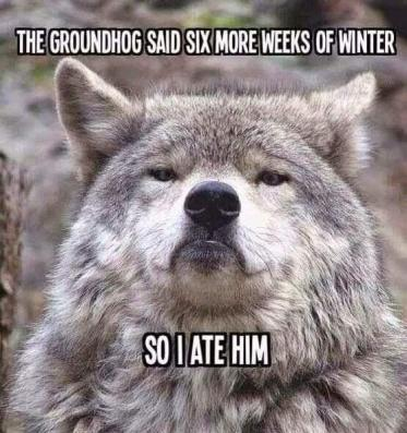My feelings about the Ground Hog