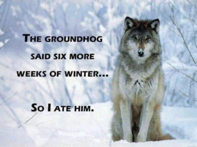 No more groundhog 