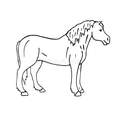 White Draft Horse