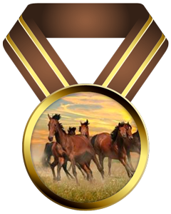 image of ribbon award