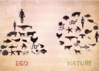 Pictorial representation of two ways at looking at nature.