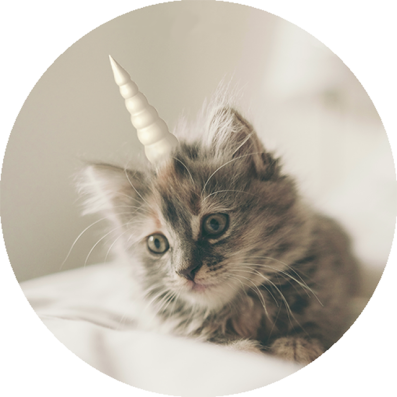  A UniCat?