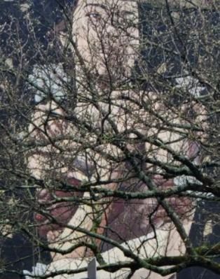 The image of a young woman in the branches of a tree.