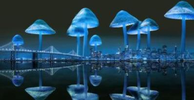 Mushrooms above a city at night.