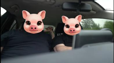 Two piggies going to a convention in stormy weather