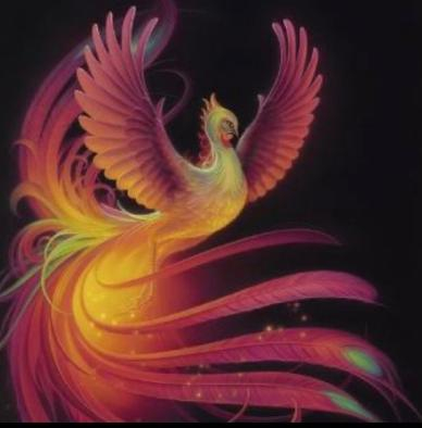 The inspiring phoenix
