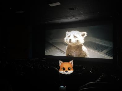 A picture taken by a relative during a movie!