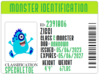 The ID card for my pet monster