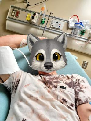 A wolfy in a hospital after getting whacked in the head with a baseball bat!