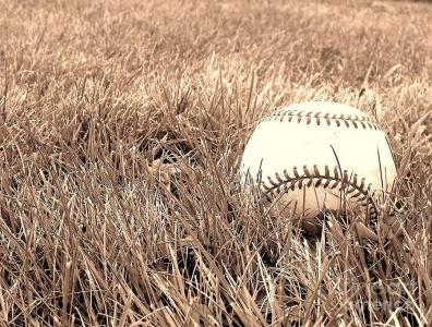Baseball in Grass Image