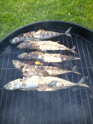 Grilled mackerel