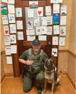 K9 Unit dog from the Sheriff's Office. The dog's name is Chico.