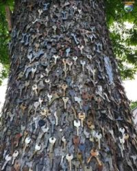 A tree laden with diverse keys.