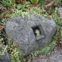 A little fellow in a rock window.